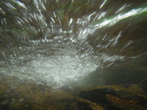 結構きれいです。